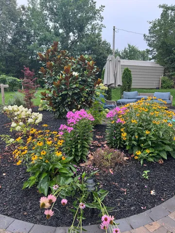 a backyard of a house with a tree