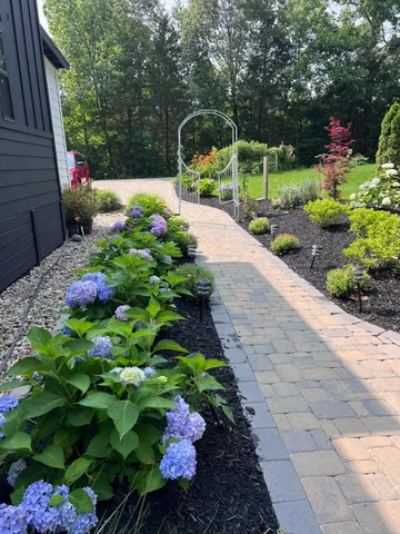a view of a garden with flowers