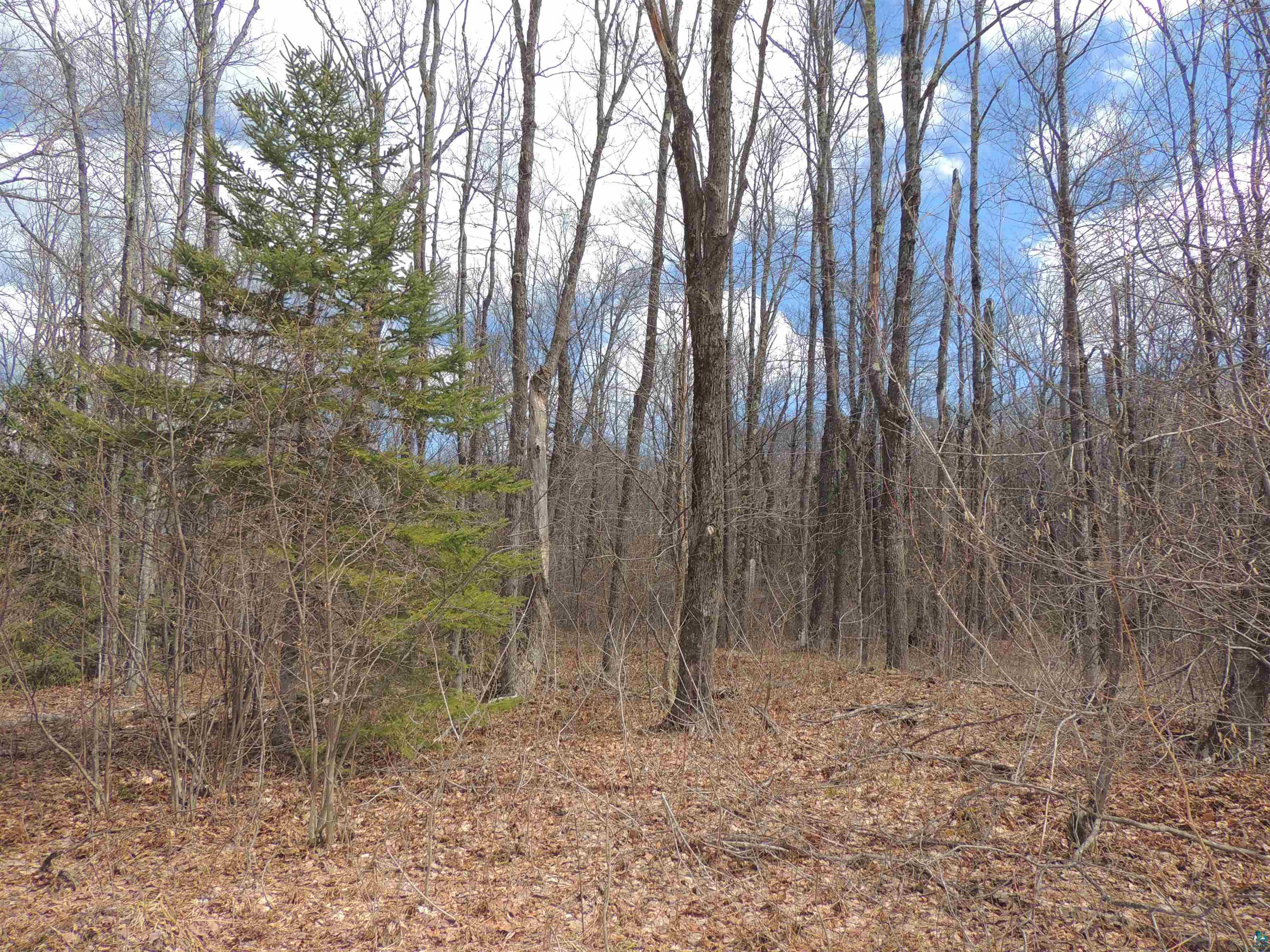 Xxx Springdale Road Tofte, MN 55615 - Photo 21 of 36