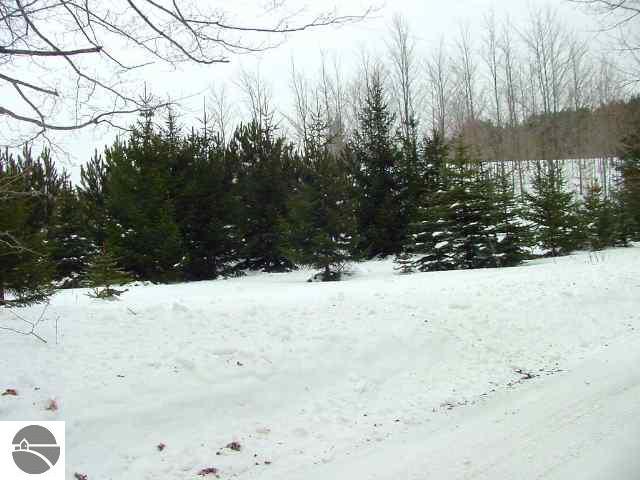 Lot B Esch Road Honor, MI 49640 - Photo 2 of 3 1644365-1.JPG