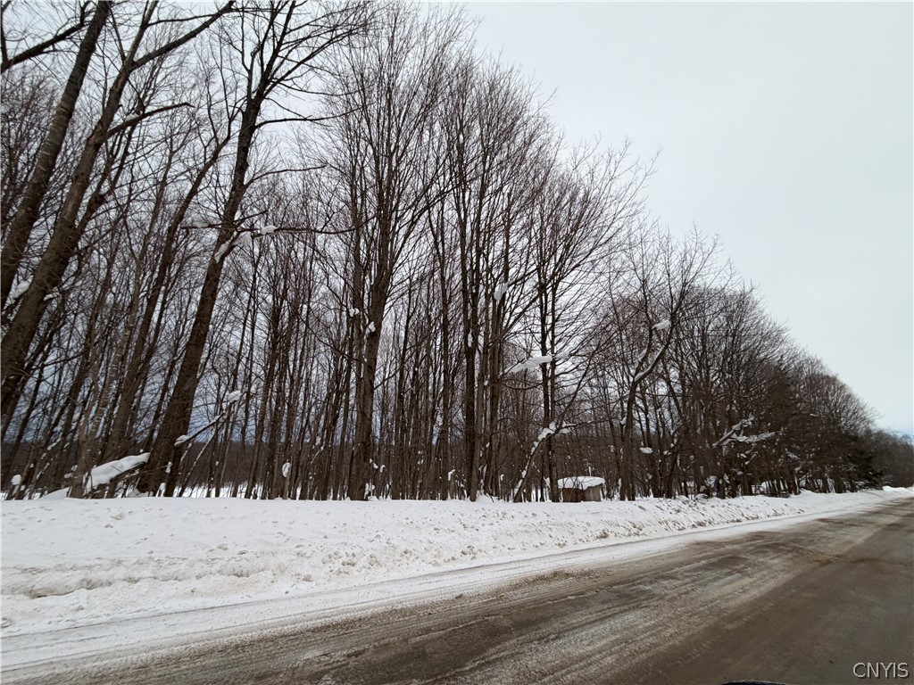 35601 Line School Road Champion, NY 13619 - Photo 3 of 17