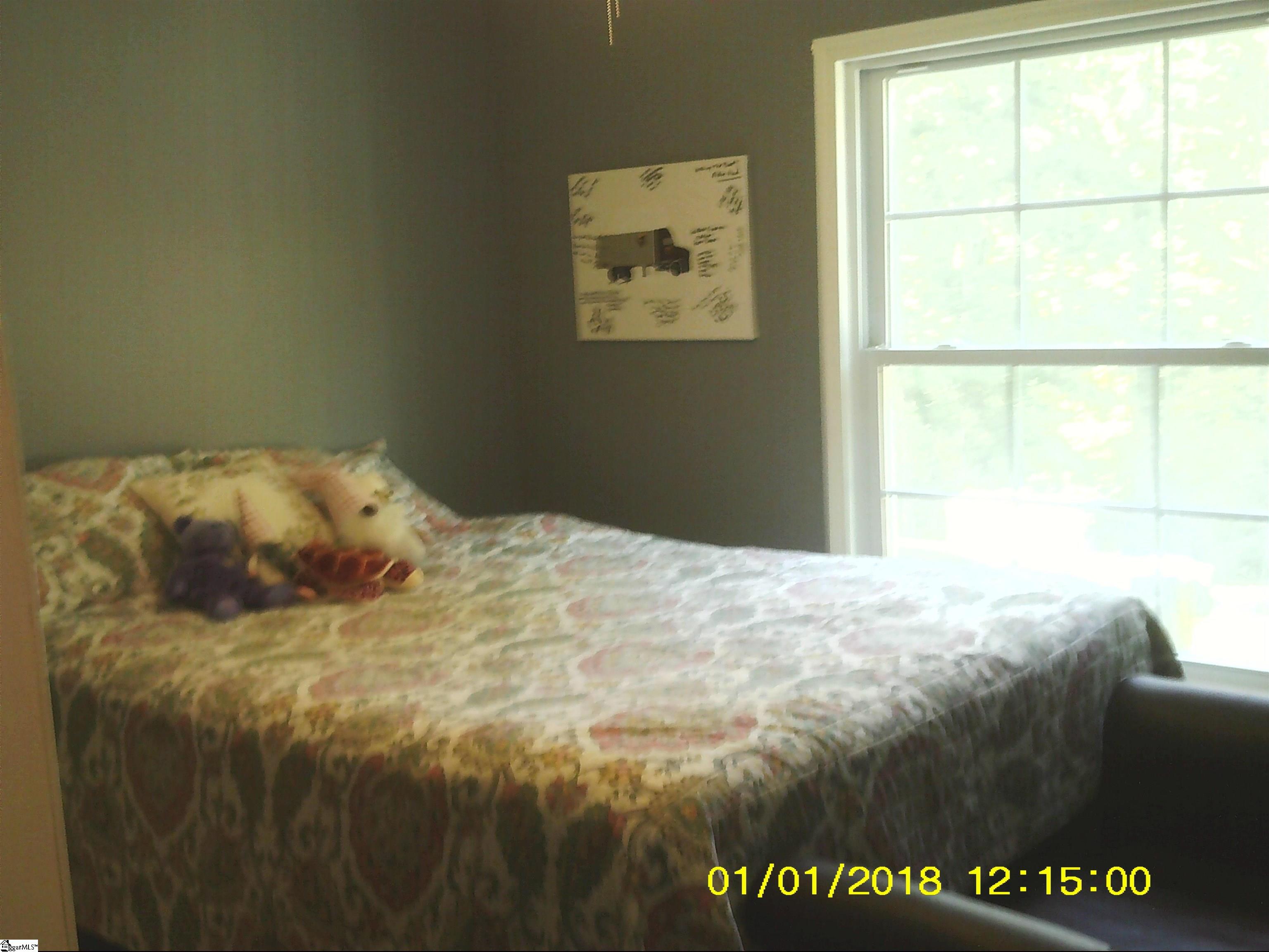 501 Cedar Road Marietta, SC 29661 - Photo 14 of 27