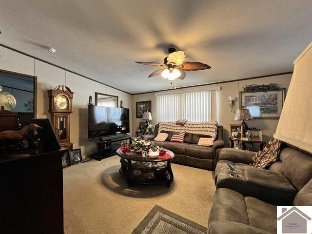 820 3rd Street Hazel, KY 42049 - Photo 5 of 27 Living Room
