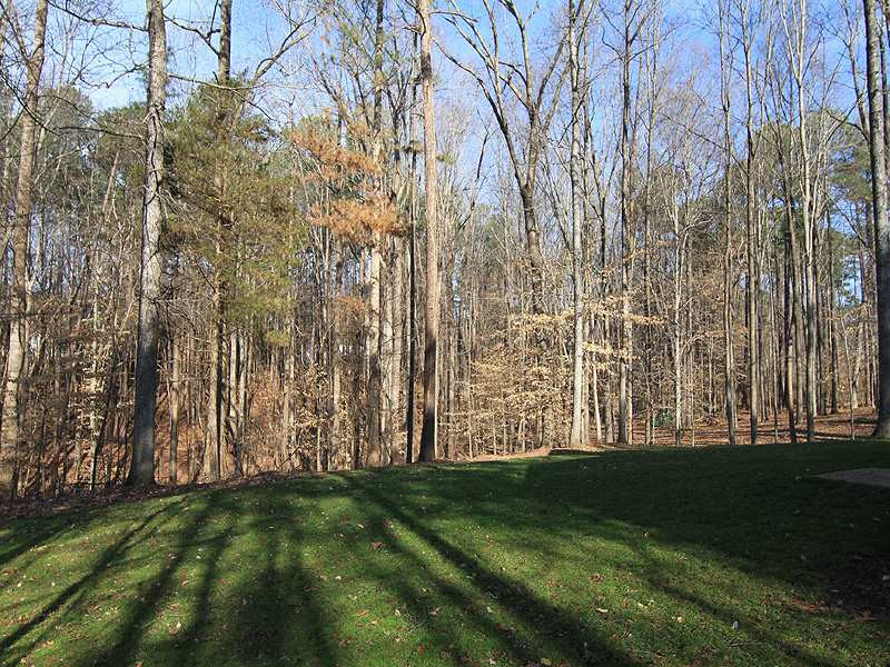 9429 Macon Road Raleigh, NC 27613 - Photo 14 of 15 Backyard