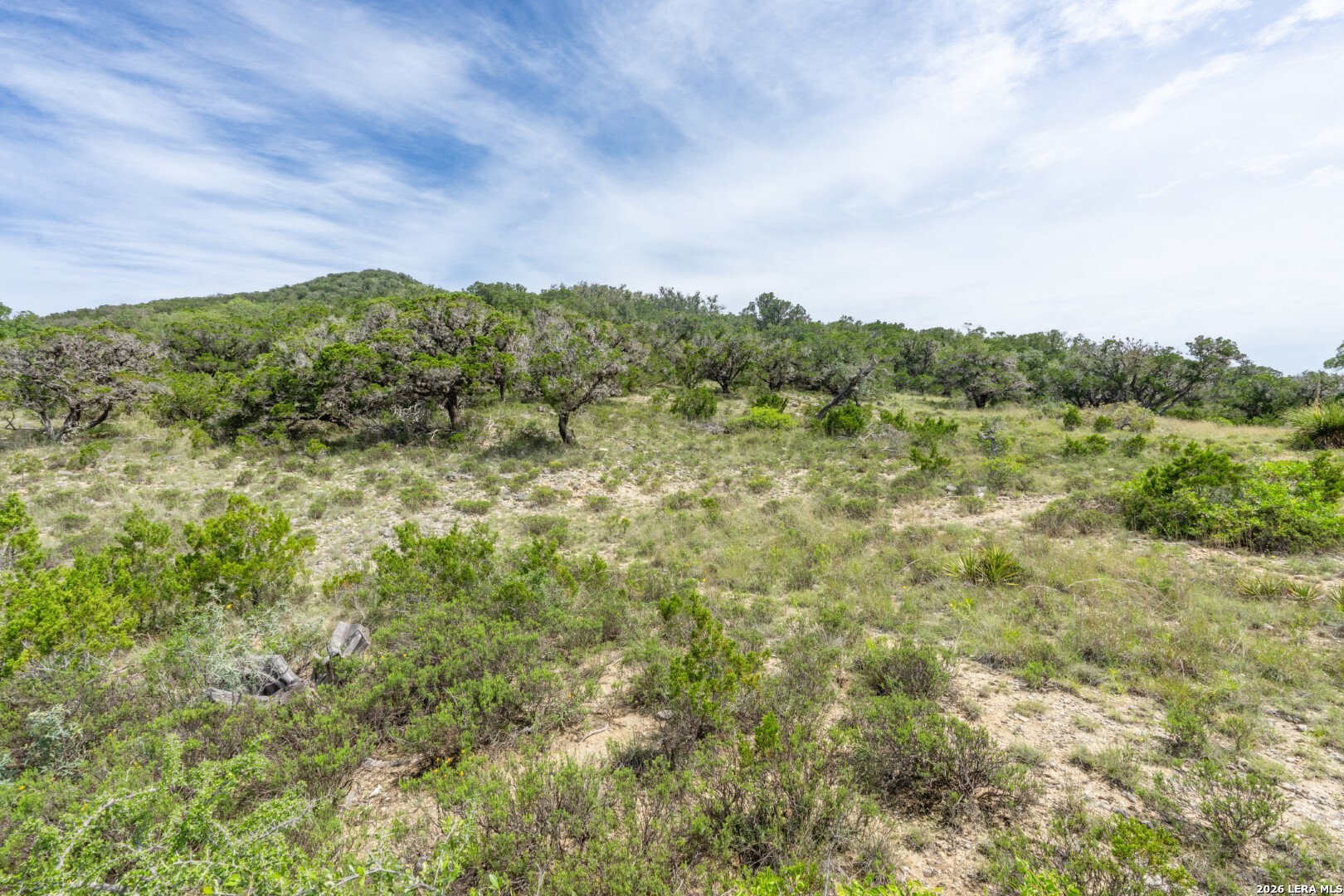 447 Blessing Lane Utopia, TX 78884 - Photo 16 of 50