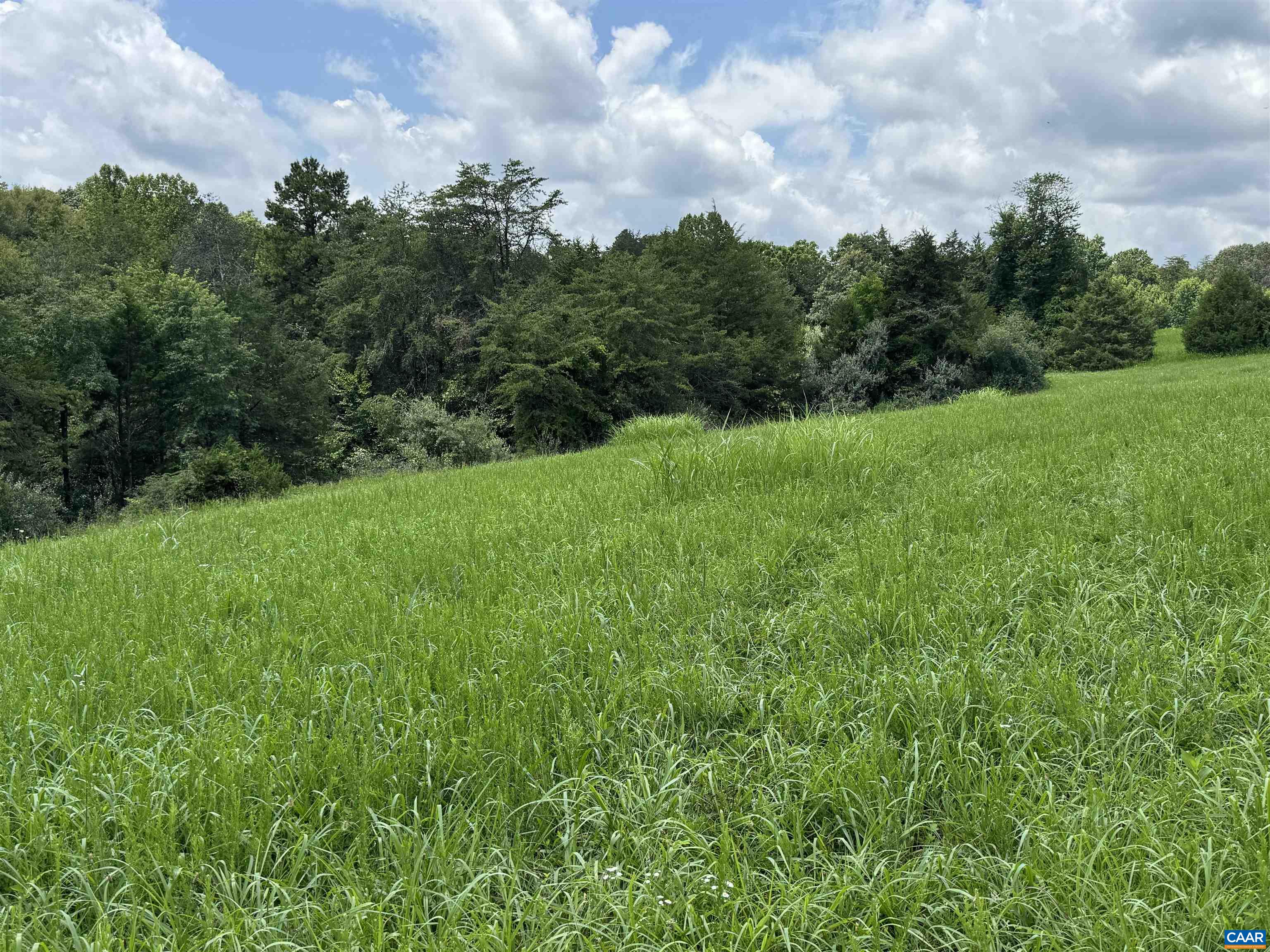 Tbd Fishpond Road Howardsville, VA 24562 - Photo 2 of 14
