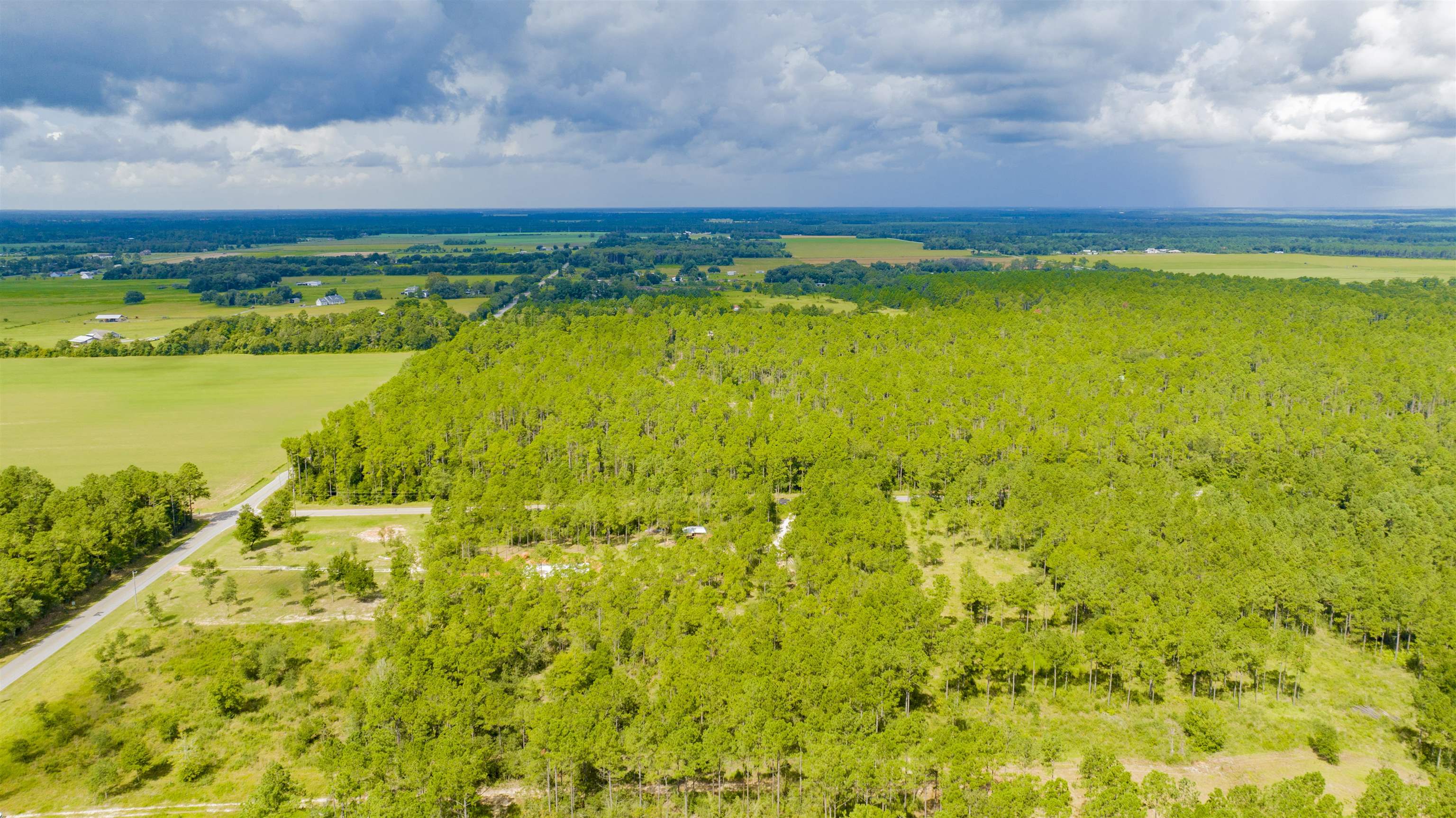 30083 Gardner Road Elberta, AL 36530 - Photo 5 of 11 Gorgeous Rural Setting