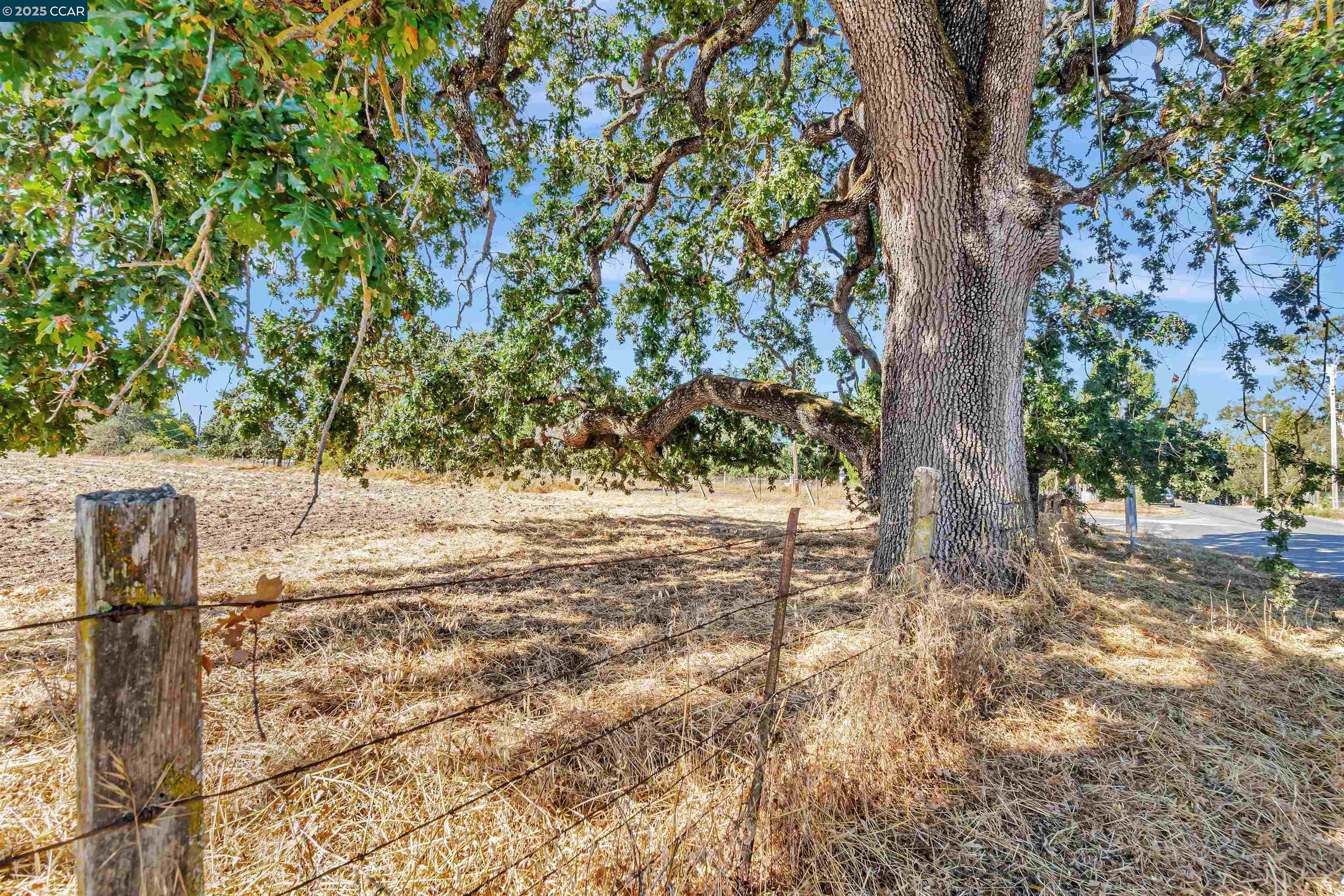 21200 Silva Road Sonoma, CA 95476 - Photo 11 of 41 a view of dirt yard with a tree