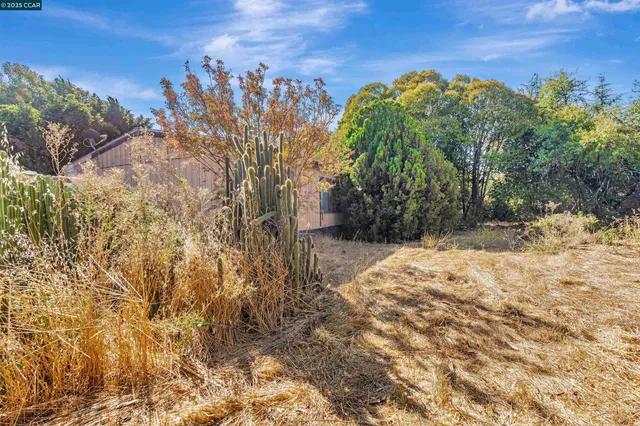 a view of a yard with plants and a building