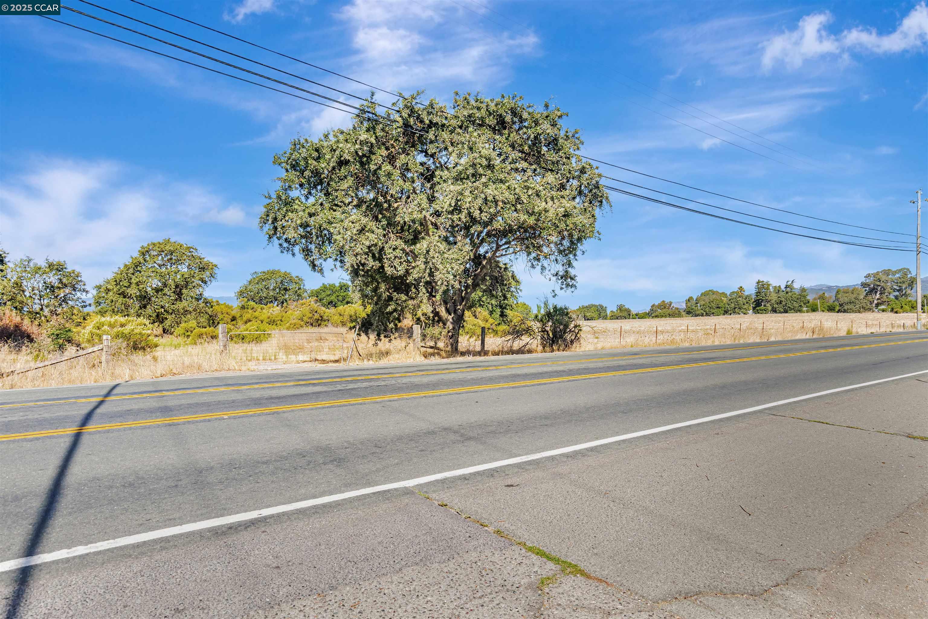 21200 Silva Road Sonoma, CA 95476 - Photo 22 of 41 a picture of a yard