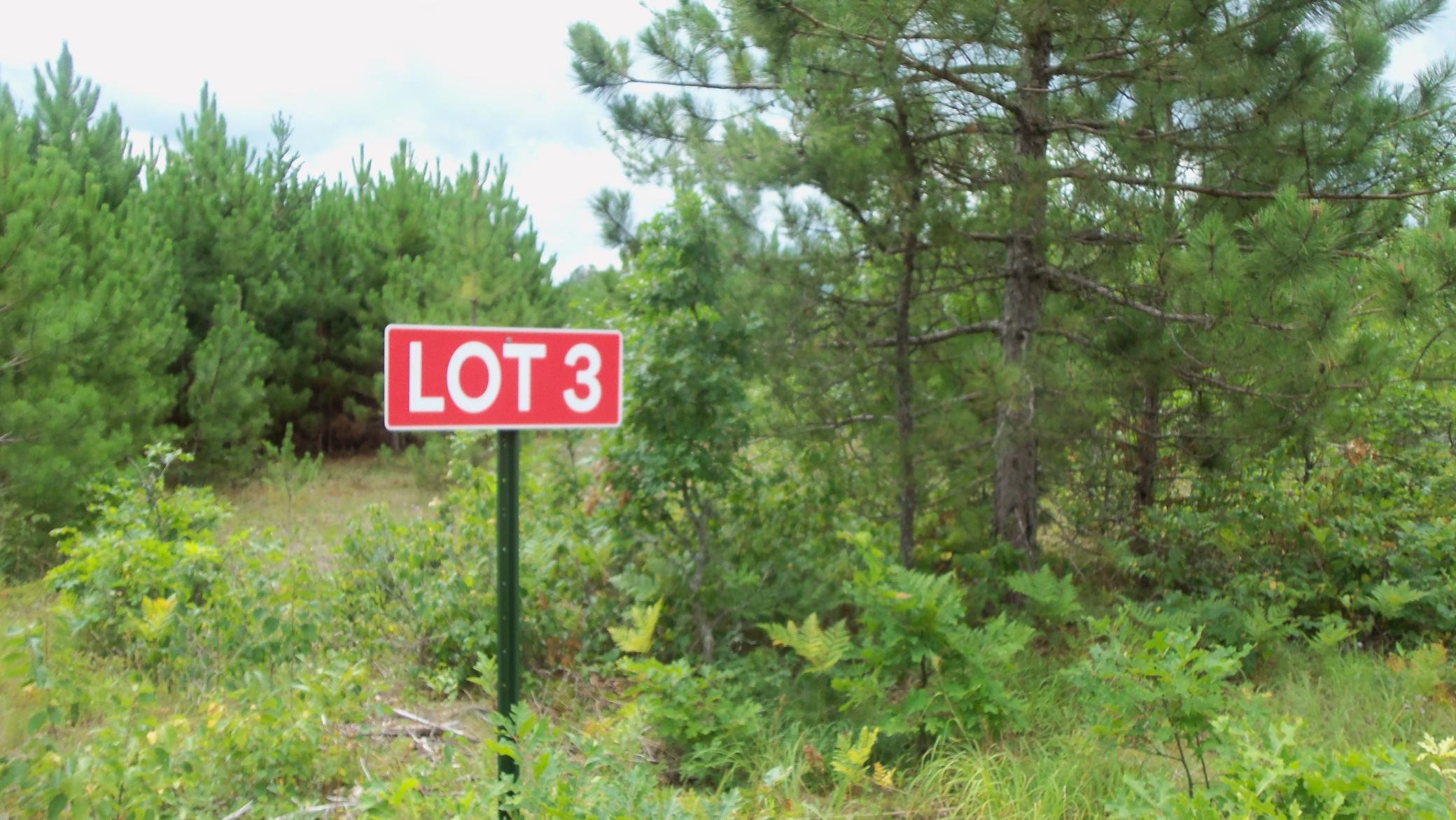 Lot 3 Nancy Lake Road Minong, WI 54859 - Photo 1 of 1 Gallery Image 1