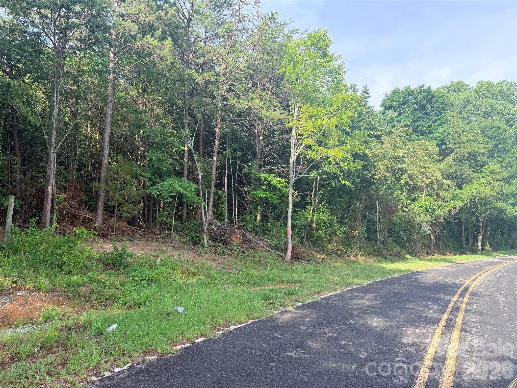 Lot 1 Schenck Farm Road Lawndale, NC 28090 - Photo 5 of 11
