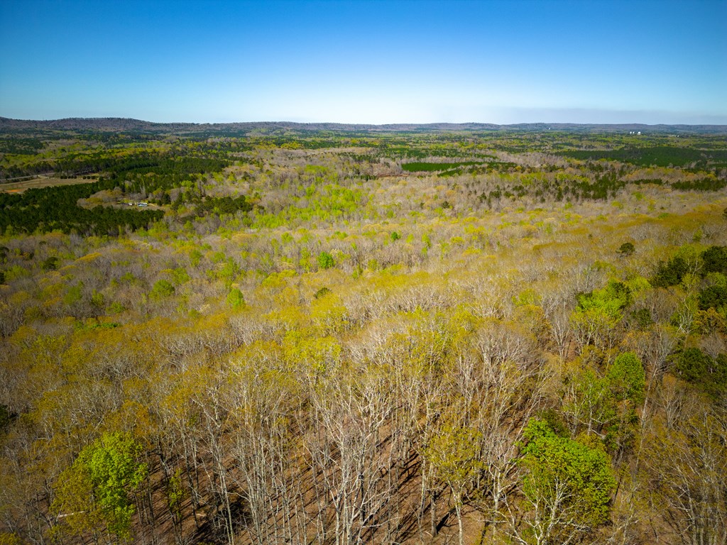 27.2-ac Barnes Mill Road Hamilton, GA 31811 - Photo 12 of 29 looking west along the ridge