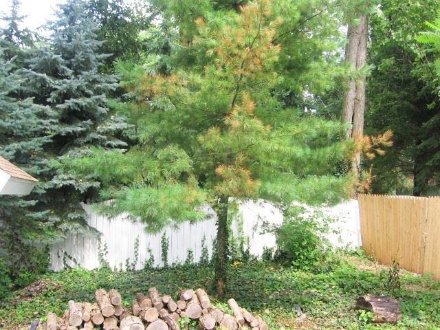 3772 Maple Road Fort Gratiot, MI 48059 - Photo 25 of 28 Backyard