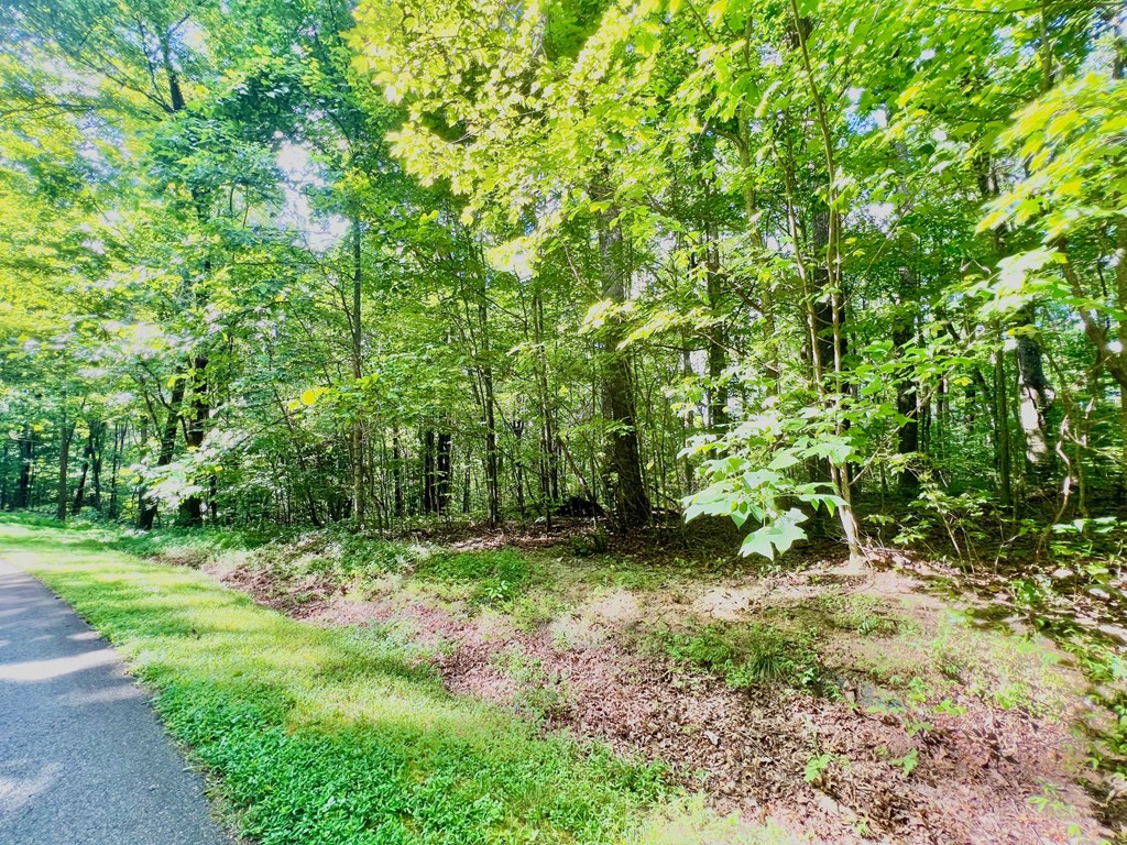 186 St. Andrews Way Jasper, GA 30143 - Photo 12 of 26