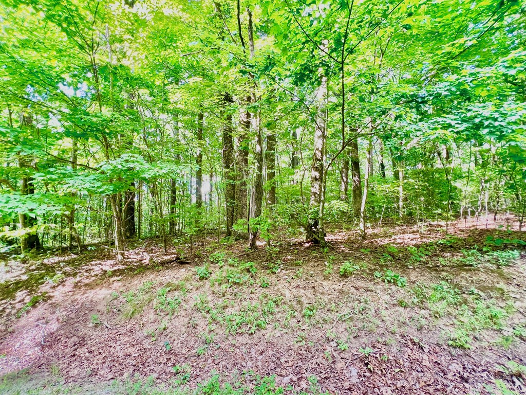186 St. Andrews Way Jasper, GA 30143 - Photo 13 of 26