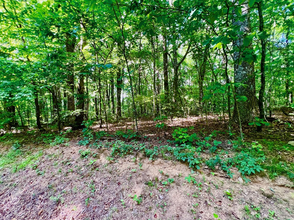 186 St. Andrews Way Jasper, GA 30143 - Photo 16 of 26