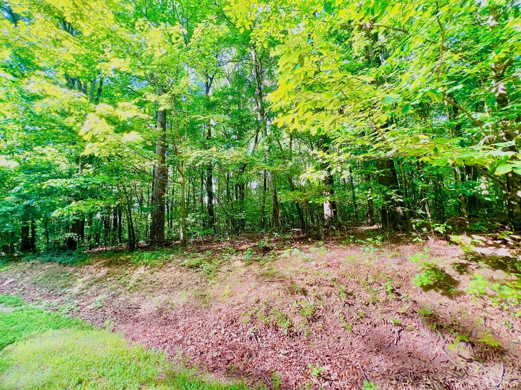 186 St. Andrews Way Jasper, GA 30143 - Photo 19 of 26