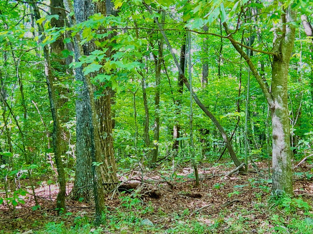 186 St. Andrews Way Jasper, GA 30143 - Photo 20 of 26