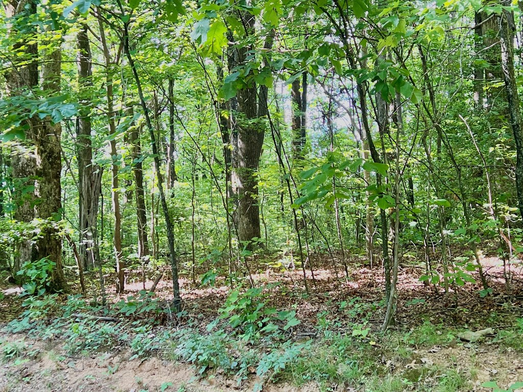186 St. Andrews Way Jasper, GA 30143 - Photo 21 of 26
