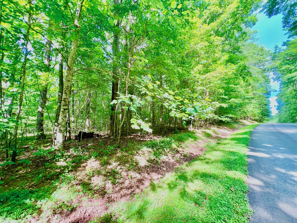 186 St. Andrews Way Jasper, GA 30143 - Photo 9 of 26