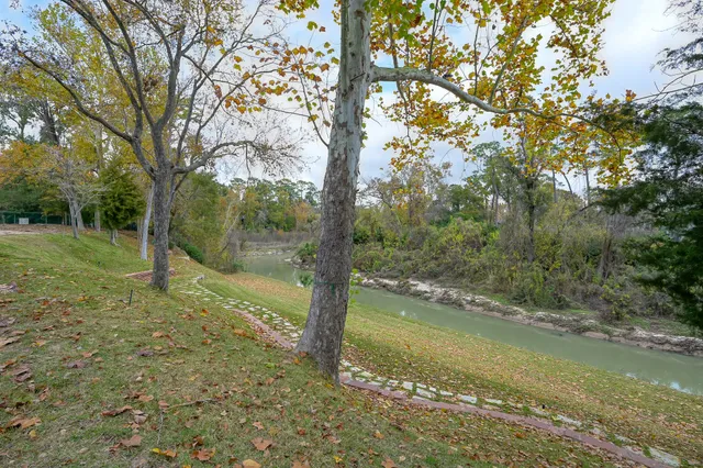 a view of a yard with a tree