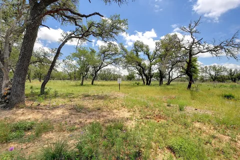 a view of yard with tree