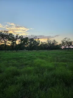 a view of a field with an ocean view