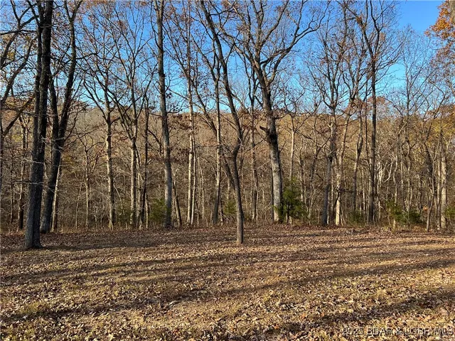 $469,900 | 23013 Rock Bluff Drive, Richland, MO 65556