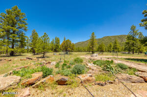 150 East Flat Rock Ridge Flagstaff, AZ 86001 - Photo 60 of 74 Outdoor Area