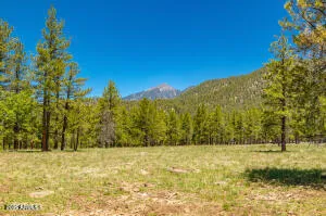 $3,499,999 | 150 East Flat Rock Ridge, Flagstaff, AZ 86001