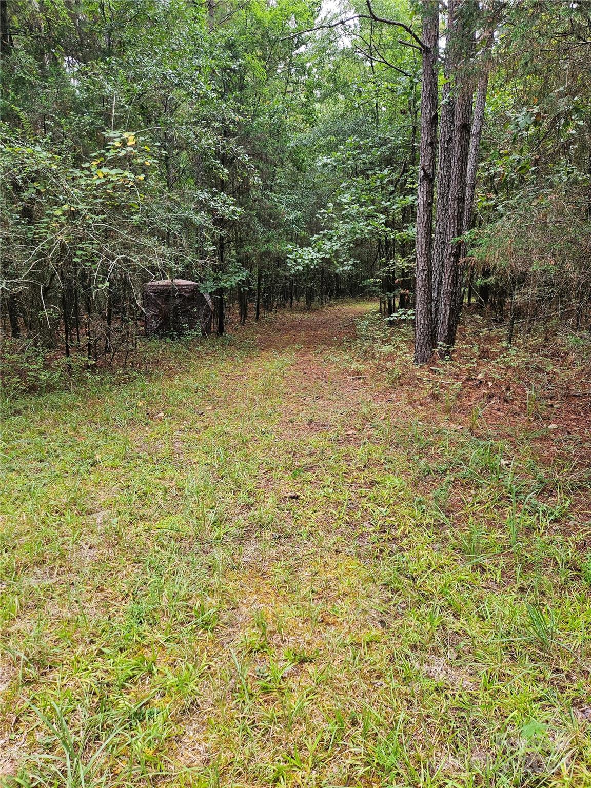 2139 State Road 496 Chester, SC 29706 - Photo 2 of 3 a backyard of a house with lots of green space