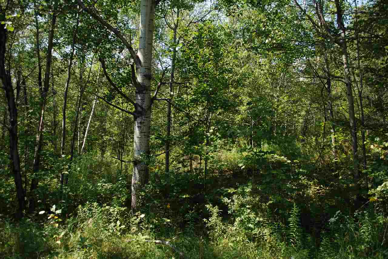 3000 West Hill Road, Unit 23A Warren, VT 05674 - Photo 12 of 27