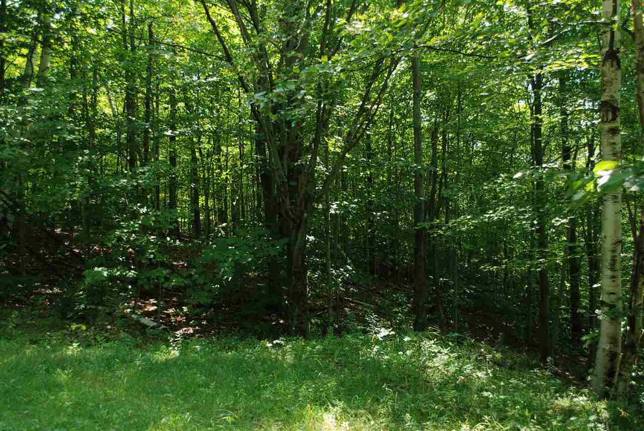 3000 West Hill Road, Unit 23A Warren, VT 05674 - Photo 8 of 27