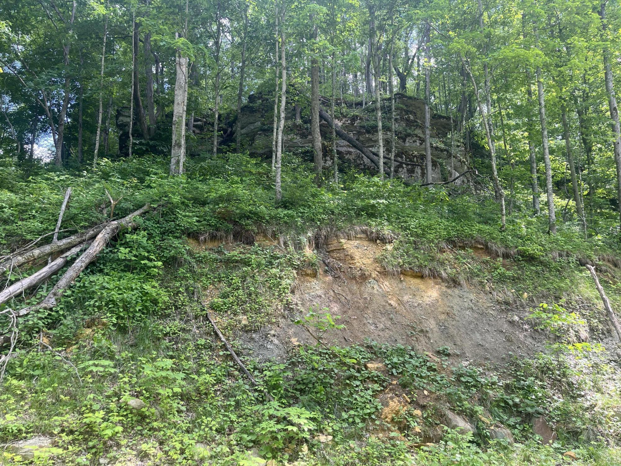 0 Birch Hollow Road, Unit LOT 12 Stanton, KY 40380 - Photo 7 of 8
