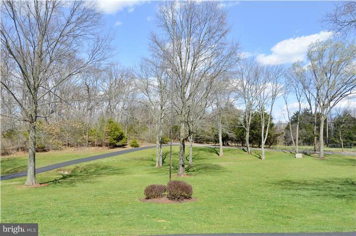 14900 Mount Nebo Road Poolesville, MD 20837 - Photo 20 of 30 a park with tall trees