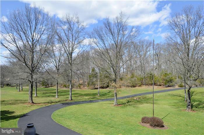 14900 Mount Nebo Road Poolesville, MD 20837 - Photo 21 of 30 a view of a park with large trees