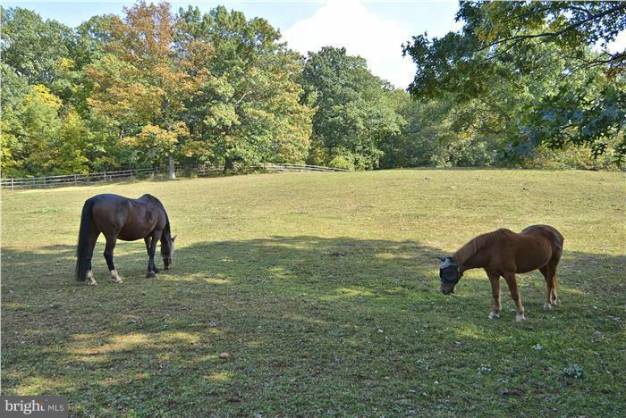 14900 Mount Nebo Road Poolesville, MD 20837 - Photo 28 of 30 a view of a lake with a yard