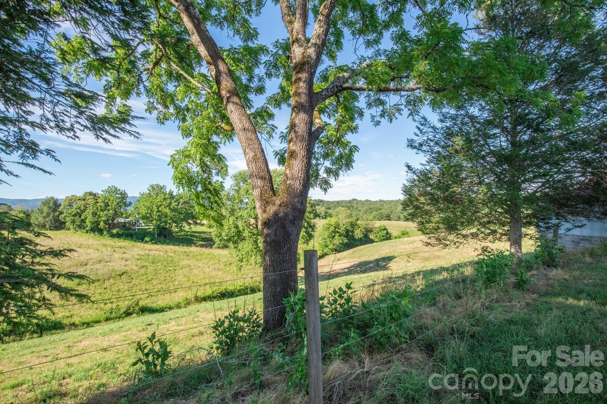 1779 Roundhill Church Road Traphill, NC 28685 - Photo 34 of 42