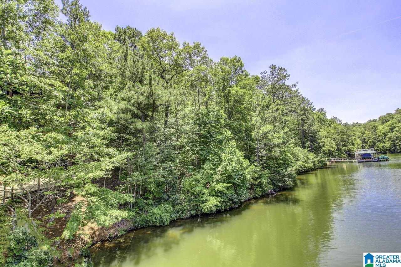 Brookwater Pointe, Unit 11 Wedowee, AL 36278 - Photo 8 of 8