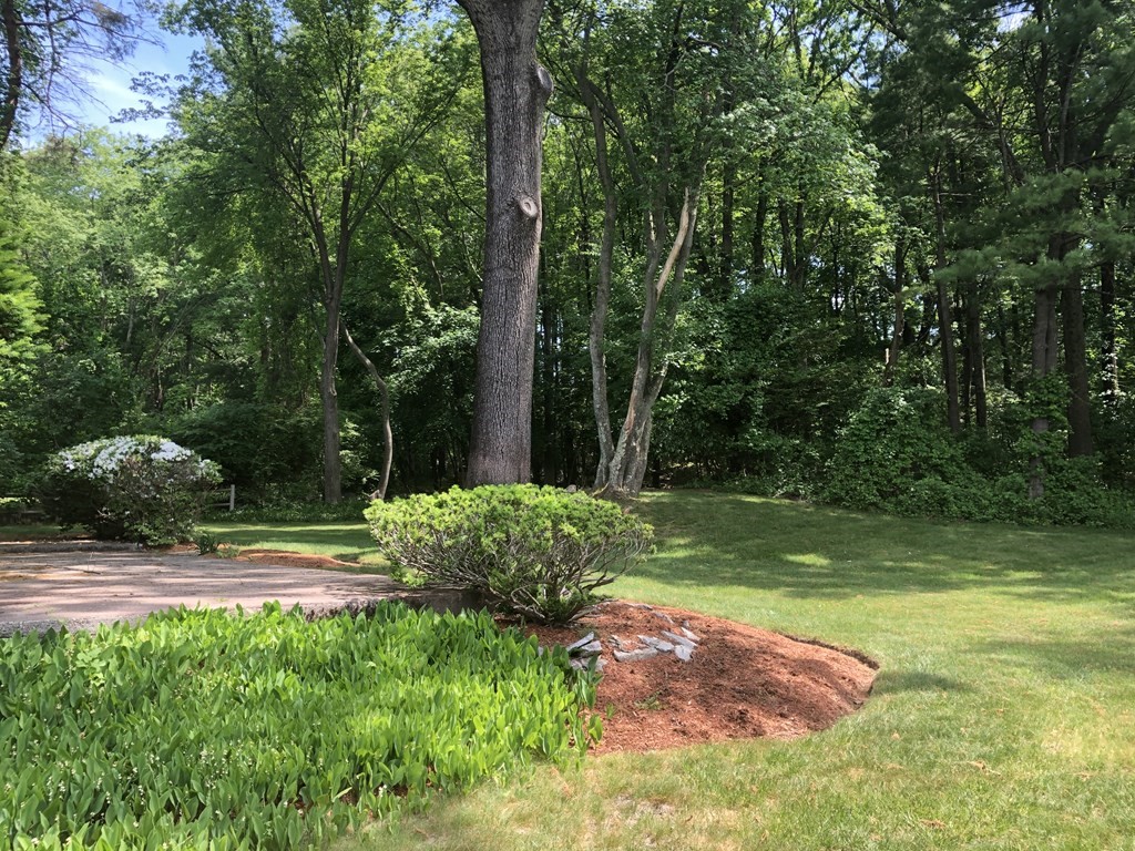 37 Fox Hill Road Framingham, MA 01701 - Photo 40 of 42 Gallery Image 40