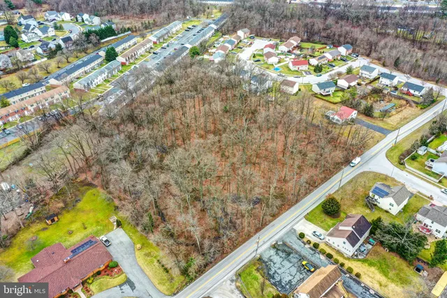 a close up of a tree