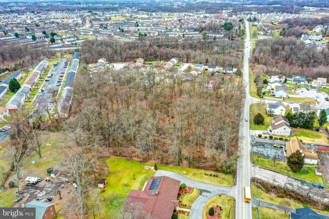 a close up of a plant with a plant