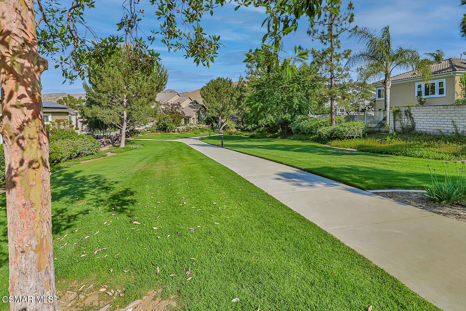 136 Laurel Ridge Drive Simi Valley, CA 93065 - Photo 66 of 73 pCommunity Pool and Greenbelt3