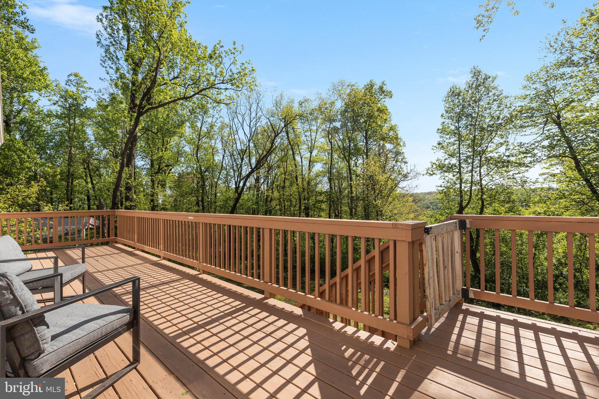 2668 High Top Road Linden, VA 22642 - Photo 48 of 73 2E6A9882_2668 High Top Rd - Absolute Altitude - 5