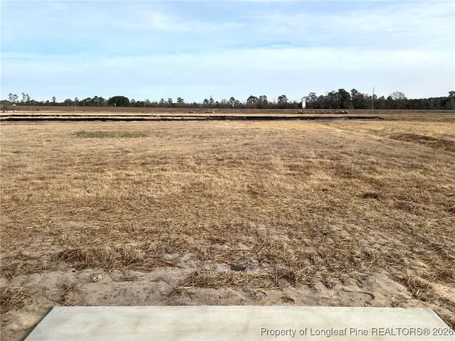 $289,950 | 208 Buggy Top Lane, Autryville, NC 28318