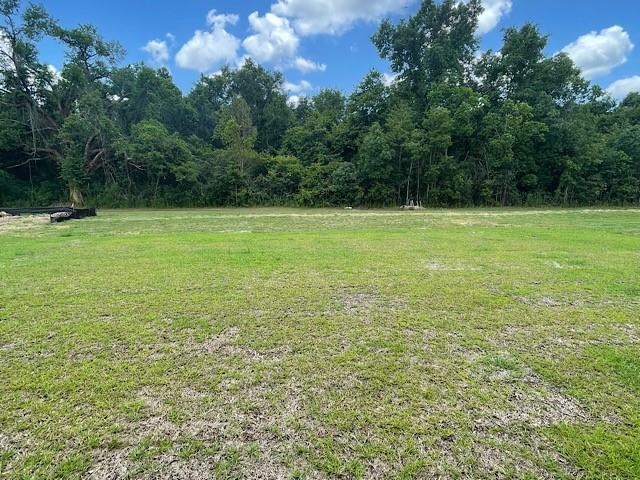 673 Calibre Street Fairhope, AL 36532 - Photo 9 of 12 backyard