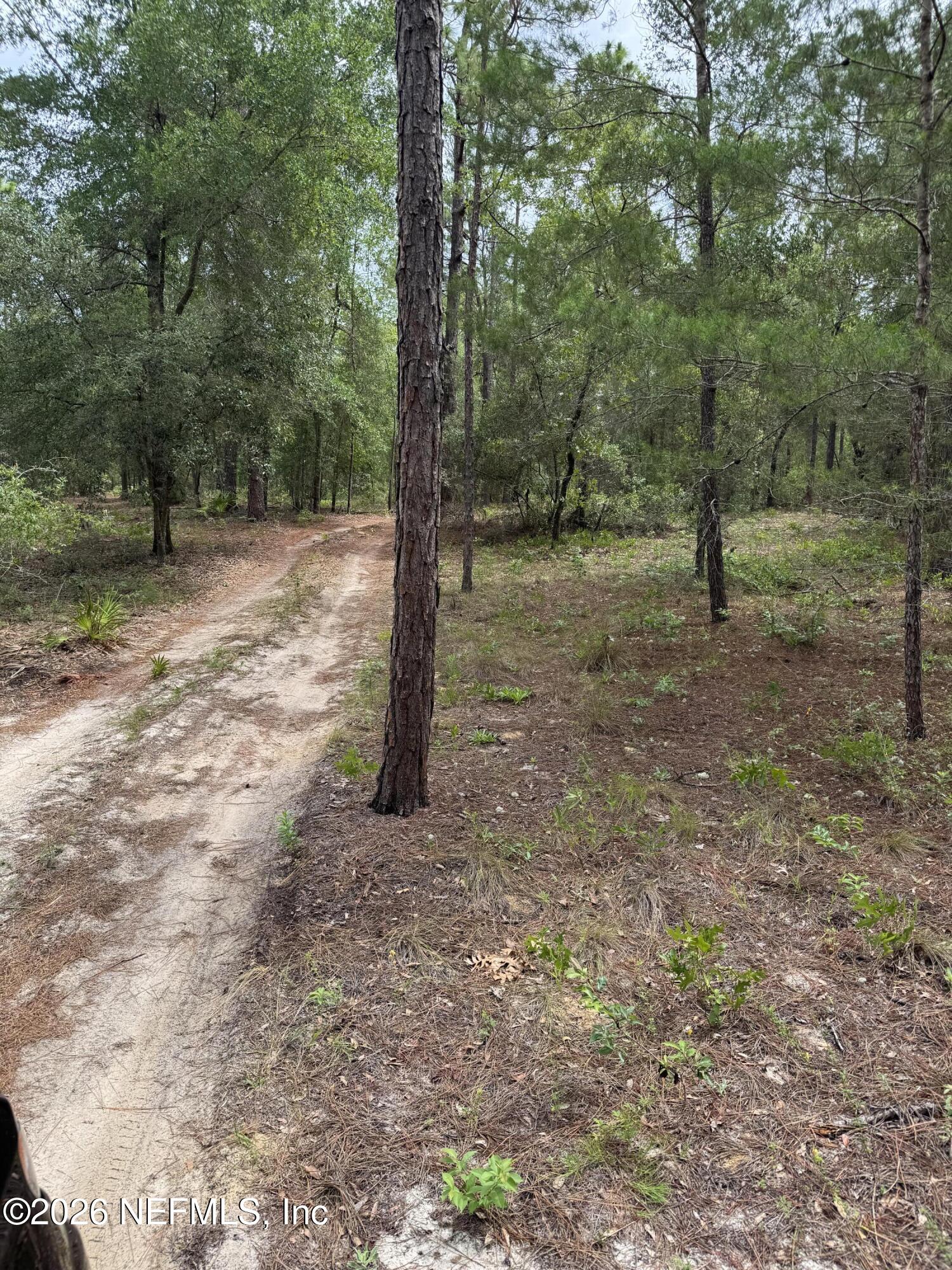 4477 M Lake Road Keystone Heights, FL 32656 - Photo 2 of 3 IMG_3651