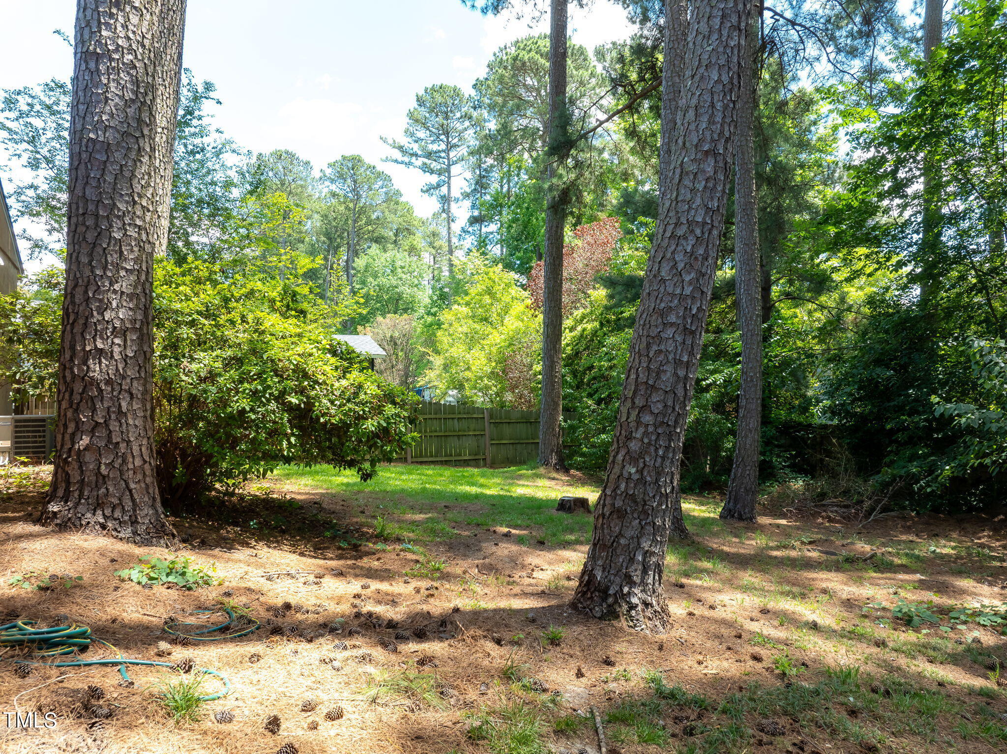 1708 Tee Dee Street Raleigh, NC 27610 - Photo 4 of 16 a view of a trees with a yard