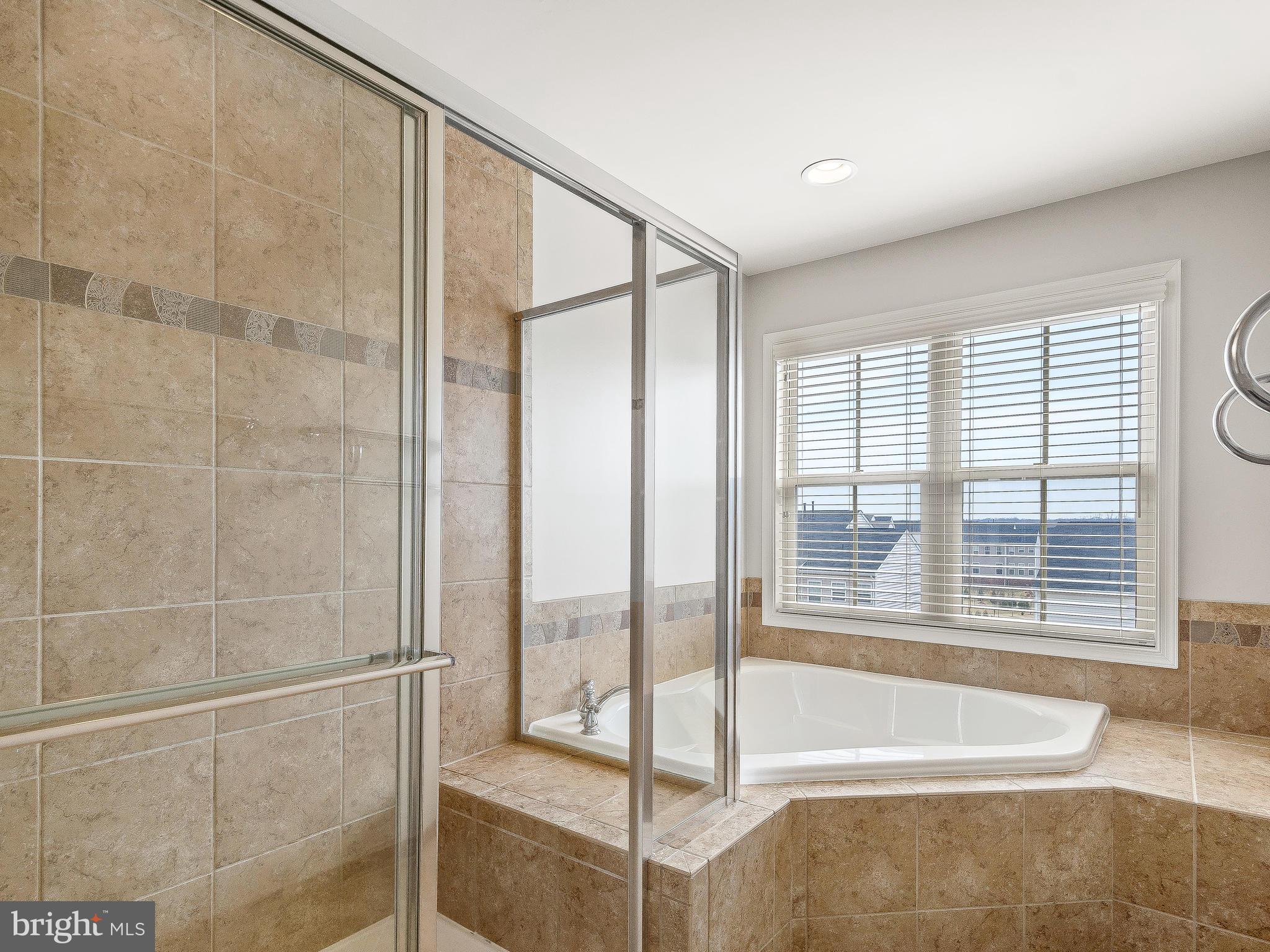 42173 Castle Ridge Square Ashburn, VA 20148 - Photo 17 of 28 Bath (Master)